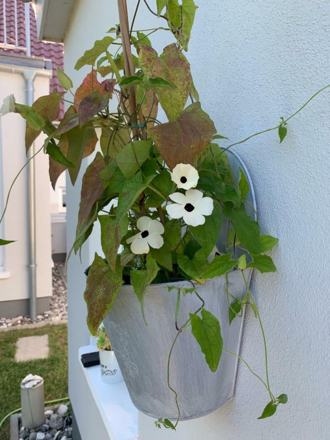 Apartamento Haus Vicus Greifswald Exterior foto